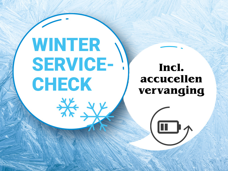 Winter Service-check (pakket 2)