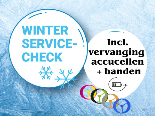 Winter Service-check (pakket 4)